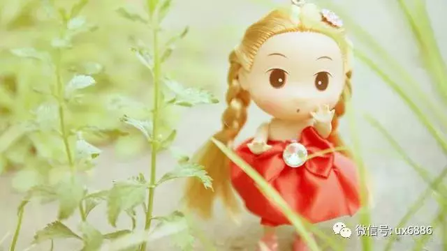 永遠不要為一個不愛你的人,去浪費一分一秒