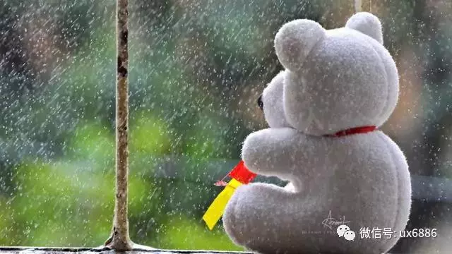 永遠不要為一個不愛你的人,去浪費一分一秒