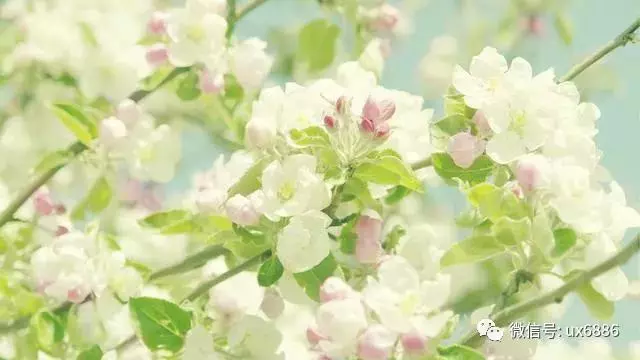 永遠不要為一個不愛你的人,去浪費一分一秒