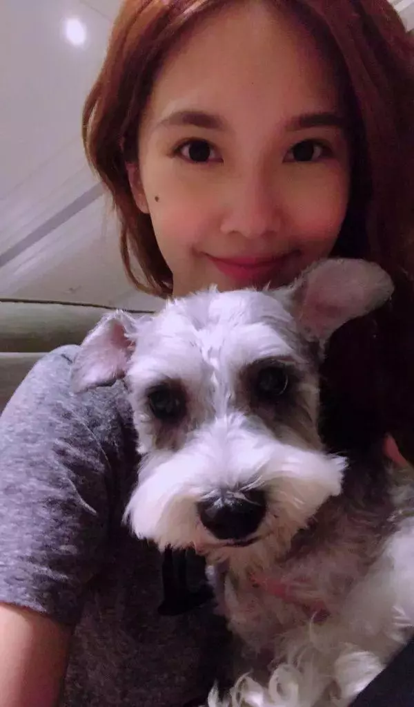4 in love解散16年了，醜小鴨楊丞琳逆襲成女神其他成員變大媽