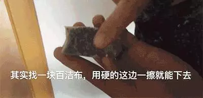 洗衣服忘了掏紙巾,紙屑沾滿衣物?教你一招3分鐘去除紙屑,超實用