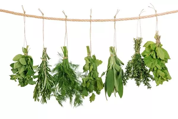 秋吃果,冬吃根!5種「根菜王」,健脾補肺益胃,冬至前後別錯過