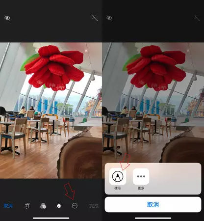 7種超實用隱藏版iPhone相機功能!微調就能修出文青風 比修圖APP還強