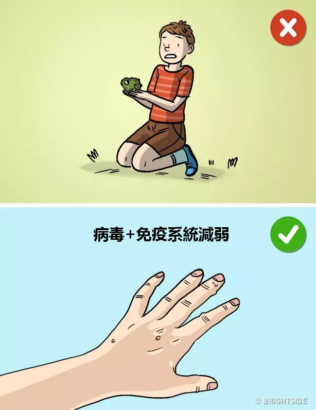 10件「爸媽從小恐嚇你到大」但其實完全錯誤的科學迷思!#3 電視看太久不會近視! - LOOKER 新鮮事