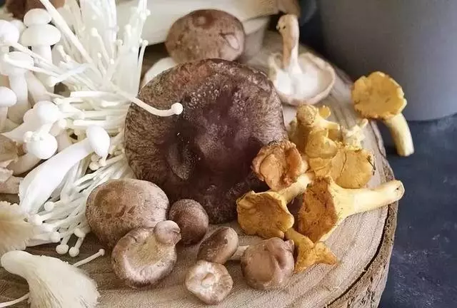 蘑菇吃得好,肉也比不了!3分鐘了解5大健康菌菇