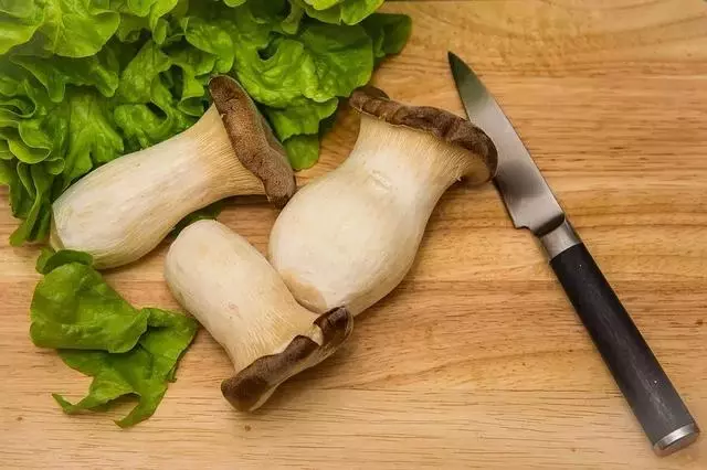 蘑菇吃得好,肉也比不了!3分鐘了解5大健康菌菇