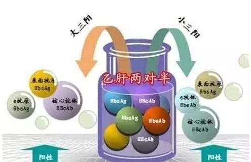 肝癌的預防工作和慢性B肝飲食! - vv頭條網