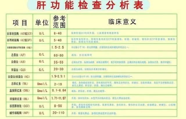 肝癌的預防工作和慢性B肝飲食! - vv頭條網