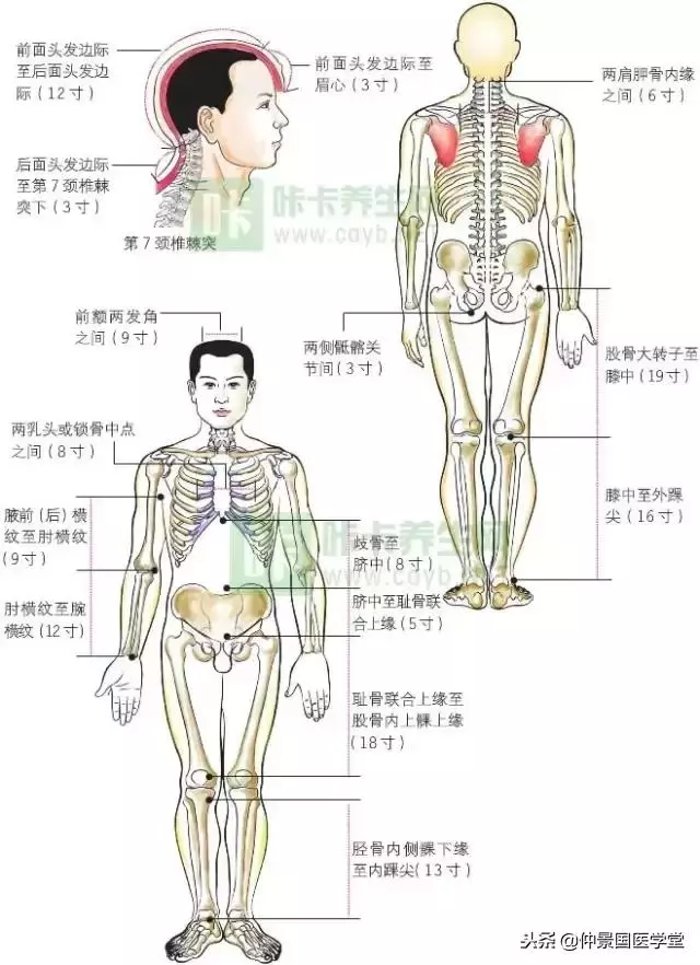 正確快速取穴方法(圖文並茂)