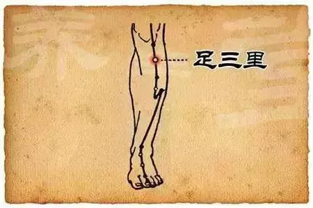 五臟常見虛勞症(陰、陽、氣、血)的調理法!收了吧!