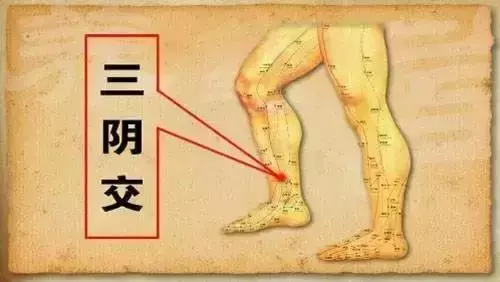 五臟常見虛勞症(陰、陽、氣、血)的調理法!收了吧!
