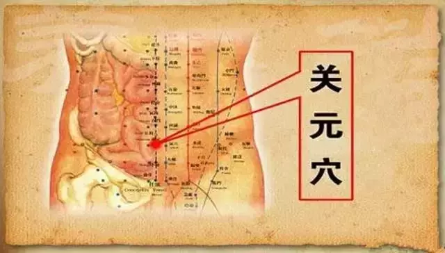 五臟常見虛勞症(陰、陽、氣、血)的調理法!收了吧!