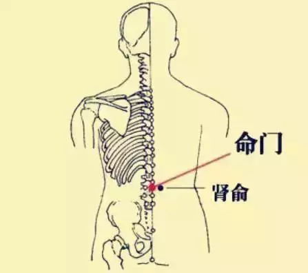五臟常見虛勞症(陰、陽、氣、血)的調理法!收了吧!