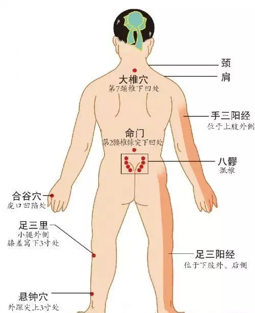 「每天學點養生」這樣拍拍打打能養生強身,為您的健康保駕護航!