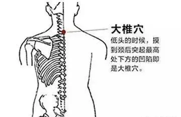 「每天學點養生」這樣拍拍打打能養生強身,為您的健康保駕護航!
