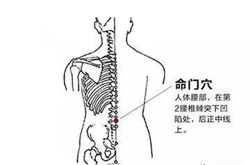 「每天學點養生」這樣拍拍打打能養生強身,為您的健康保駕護航!