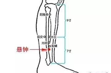 「每天學點養生」這樣拍拍打打能養生強身,為您的健康保駕護航!