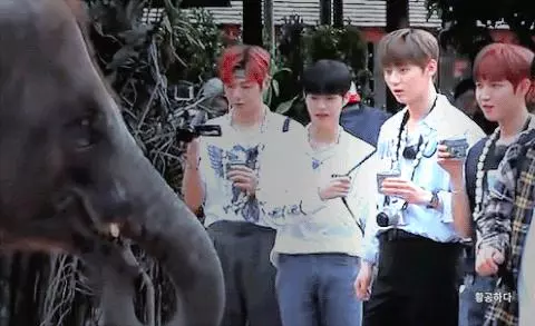 [WANNA ONE][新聞]181219 WANNA ONE姜丹尼爾連續44週穩居BEST IDOL榜首