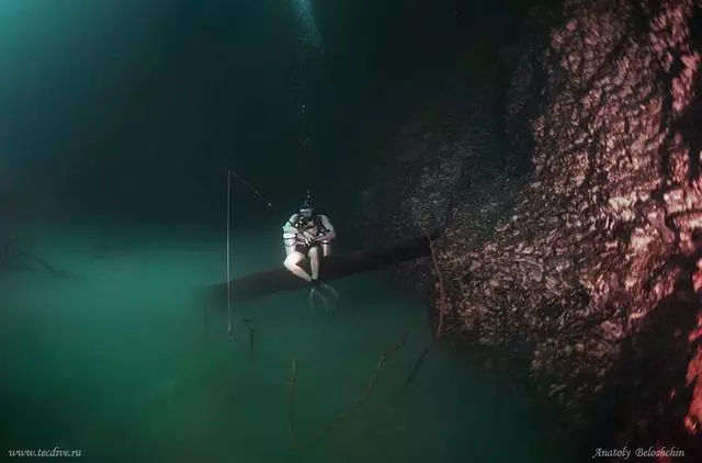 海下湖泊太夢幻 6個海洋奇景