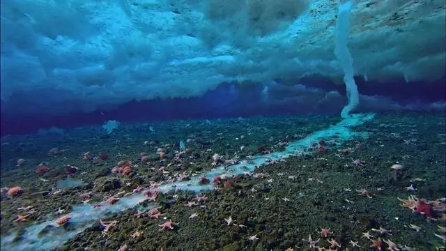 海下湖泊太夢幻 6個海洋奇景