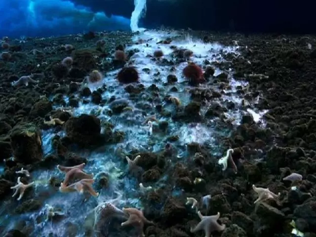 海下湖泊太夢幻 6個海洋奇景