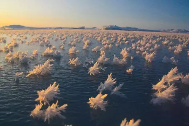 海下湖泊太夢幻 6個海洋奇景