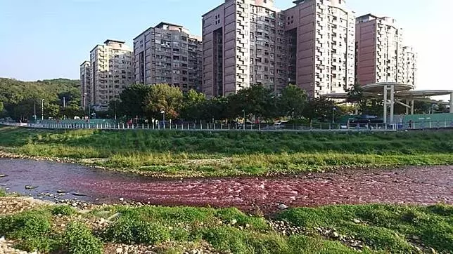 把南崁溪染成血紅色！兇手就是龜山這家公司...