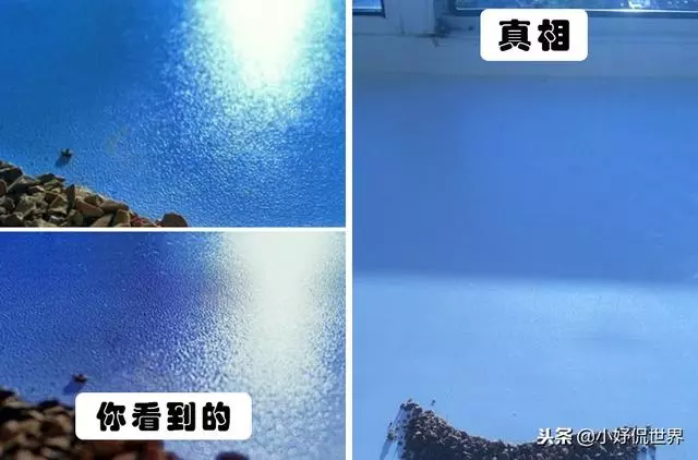 19張照片告訴你:我們在朋友圈看到的完美照片背後所隱藏的秘密