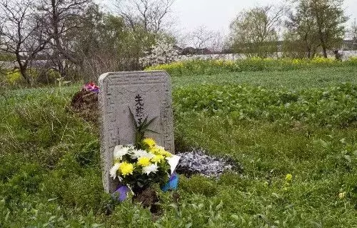 女兒托夢說想吃餃子,母親煮好端到墳前,抬頭瞥見墓碑,撒腿就跑