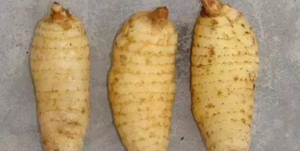 這種珍惜的藥材,手腳麻木要吃,不明頭痛要吃,肝不好要吃,防心梗更要吃!
