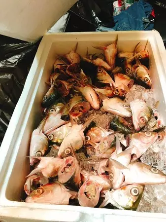 聖誕驚喜變驚嚇!她玩交換禮物「一打開飄出濃濃腥味」臉秒綠掉 網友卻讚翻:這箱抽到賺到