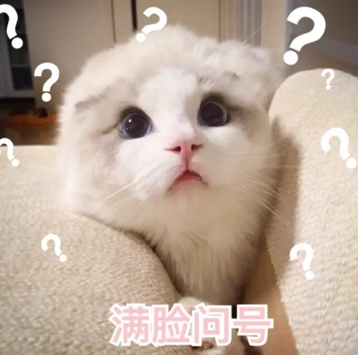網拍買手套收到「兩隻都左手」怒投訴! 客服神回:「親~您手長反囉」附上照片全網笑到崩潰