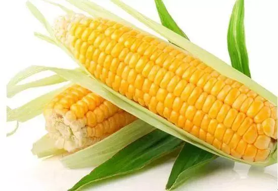分享丨糖尿病患者適宜的7大雜糧及其做法!