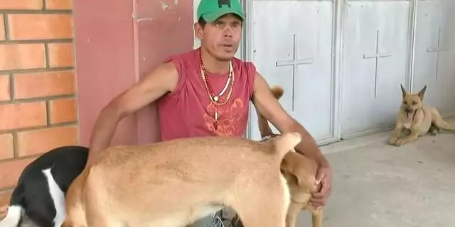 殘疾流浪漢因病住院,醫院門口多出4隻狗狗,背後故事感動護士