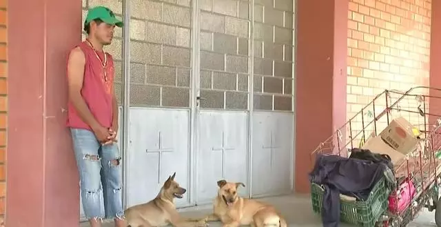 殘疾流浪漢因病住院,醫院門口多出4隻狗狗,背後故事感動護士