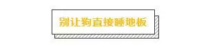 讓狗生不如死的關節炎,該怎麼預防?