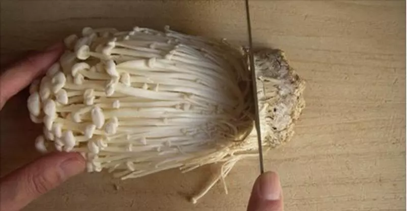連主婦都搞錯!「金針菇這樣切才正確」:包裝不要丟掉是關鍵