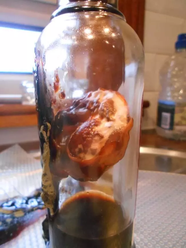 醋擺在櫥櫃的角落多年 拿出來發現裡面長出了一顆心臟