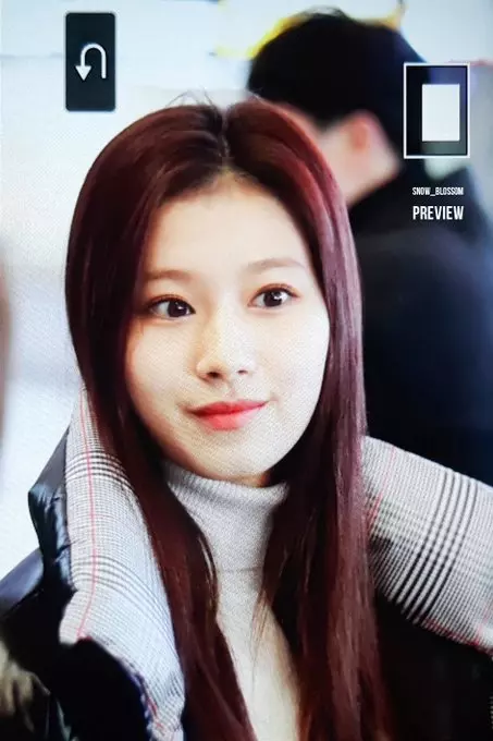 [TWICE][新聞]181220 TWICE確定兩日金唱片均會出席！