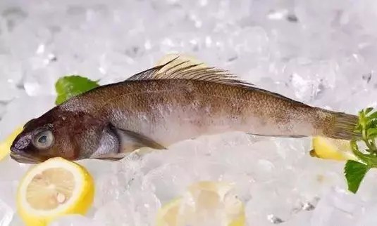 水產商說:從來不買這6種魚,都賣給別人吃!你還在買它嗎,趕緊看看吧!