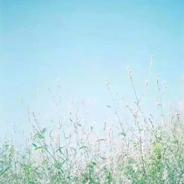 一位富人請風水先生去他家墓地看風水