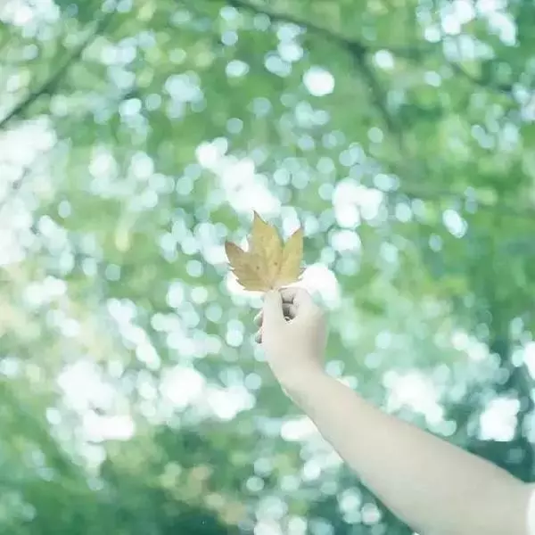 一位富人請風水先生去他家墓地看風水