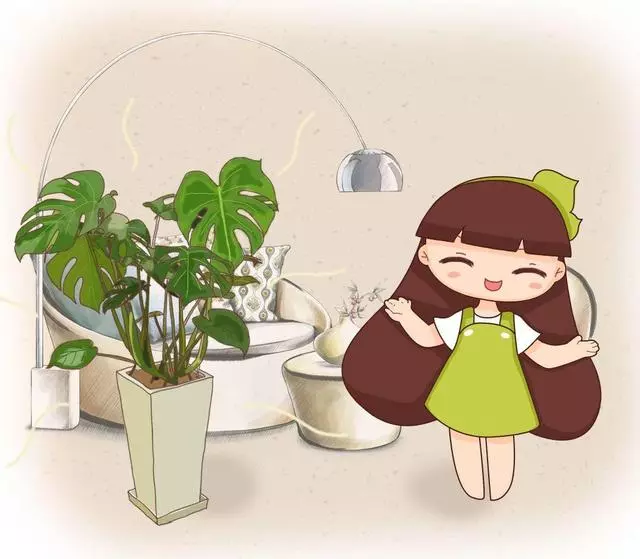 20種吸甲醛花卉,號稱綠色凈化器,清除甲醛去異味,養一盆就賺到了