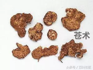 每天一杯,頭髮亮了,眼睛不乾了,膚色變好了,皺紋不長了