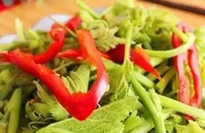 很多人只吃瓜不吃葉子,原來葉子能治胃痛、降血壓、去結石!看來真的走寶了!
