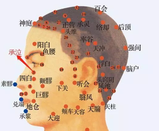 「穴位」美容養顏小妙招
