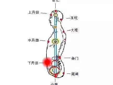 天天敲打胃經和大腸經是預防衰老的秘方!