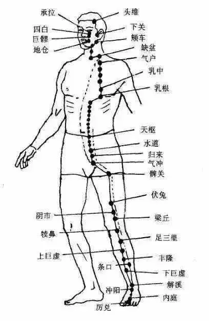 膝關節疼痛的開關在胳膊肘上,常按揉,就好了