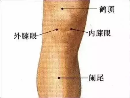 膝關節疼痛的開關在胳膊肘上,常按揉,就好了