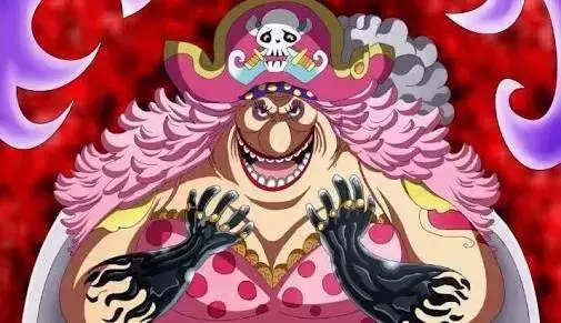 《海賊王》五皇代表五種頂級體質,路飛體質亮了!